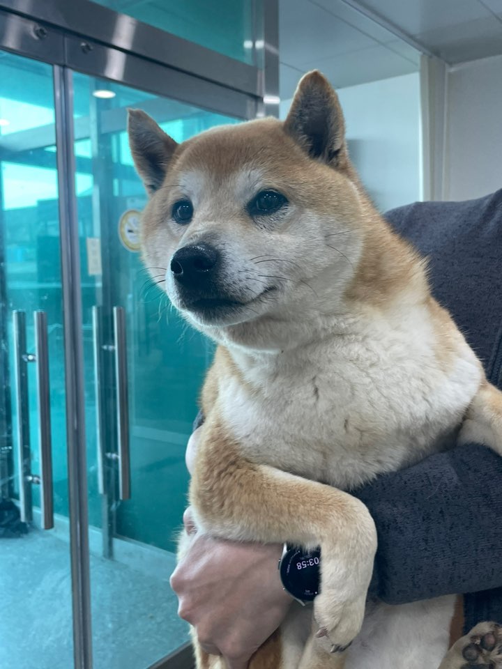 반려동물보호센터_443571202300552